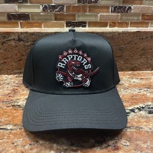 toronto raptors snapback